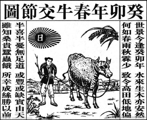 白小姐正版马报旗袍图纸|探索生活中的小技巧_应用集.6.917